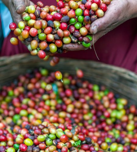 rodrigo-flores-T5qjs-63kqQ-unsplash